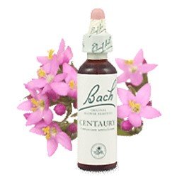 centaury_1_3
