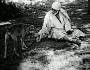Sai Baba 13312628_10209124838853554_8182277459380079773_n